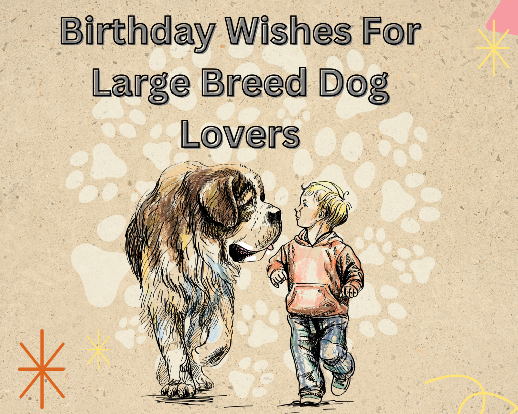 For Large Breed Dog Lovers