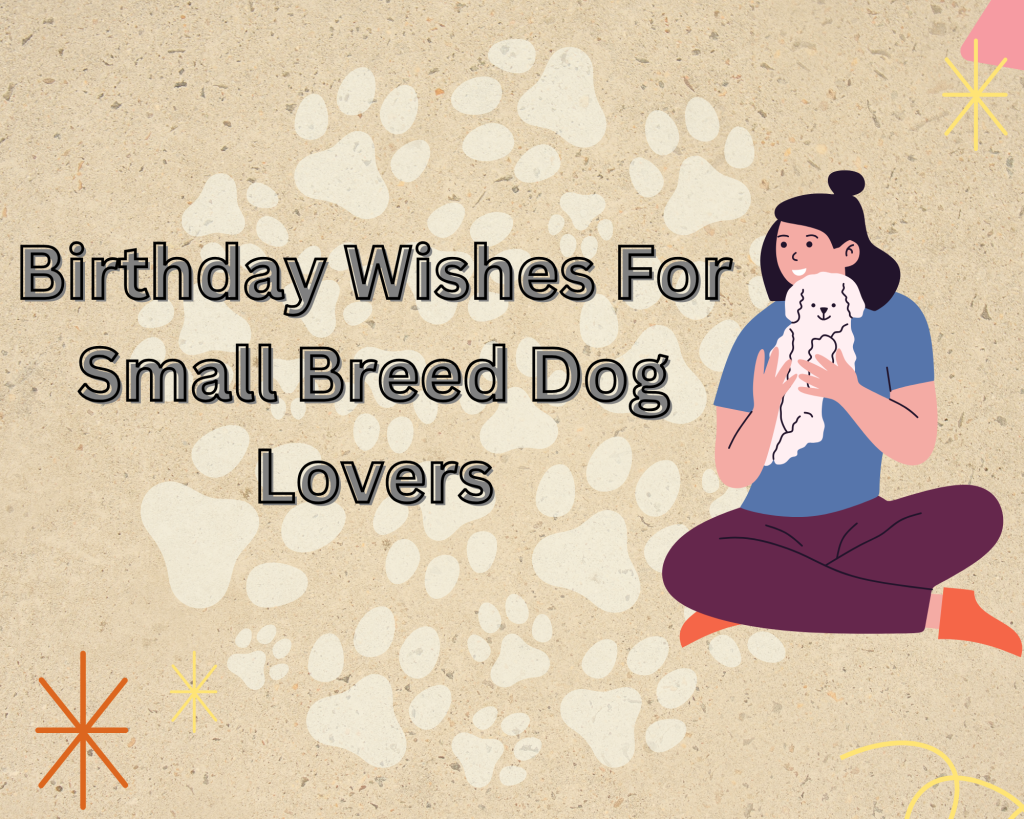 For Small Breed Dog Lovers