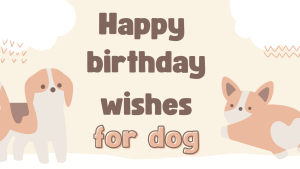 birthday wishes for dog