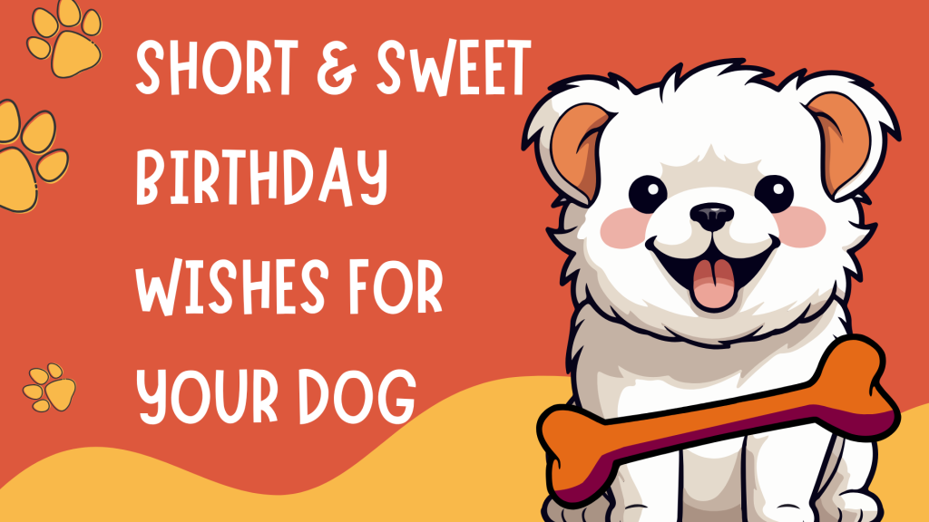 Short & Sweet Birthday Wishes for Your Dog