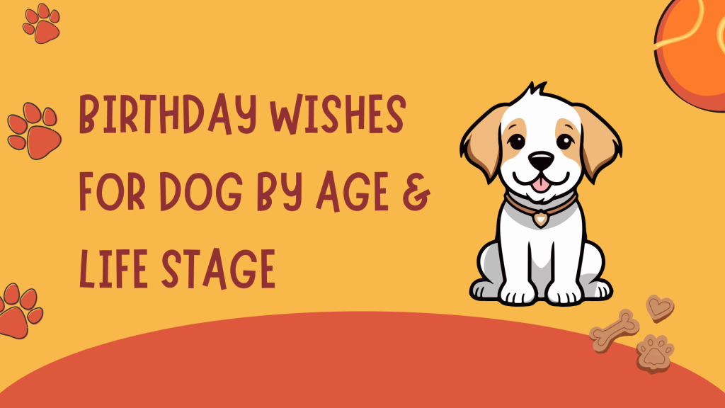 Birthday Wishes for Dog by Age & Life Stage