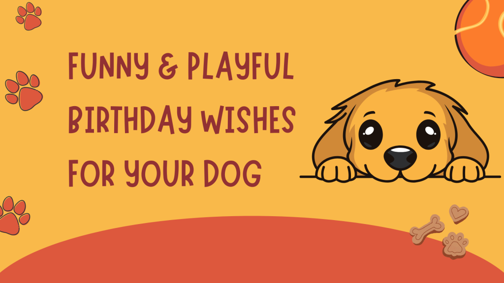 Funny & Playful Birthday Wishes for Your Dog