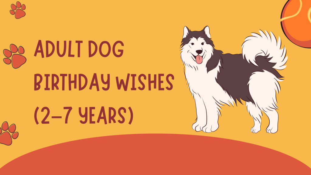 Adult Dog Birthday Wishes (2–7 Years)