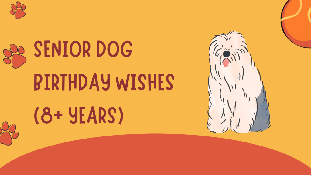 Senior Dog Birthday Wishes (8+ Years)