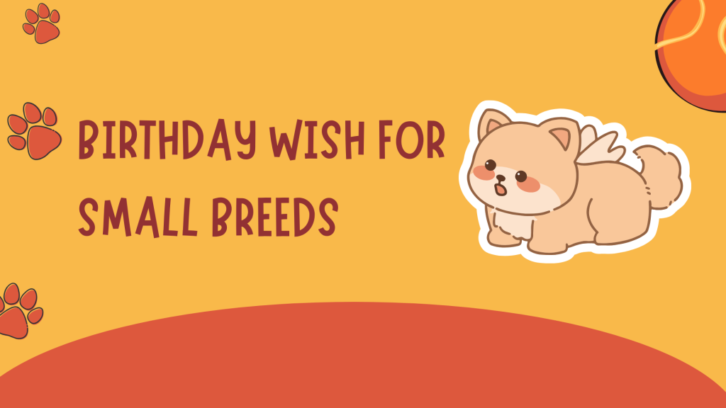 For Small Breeds