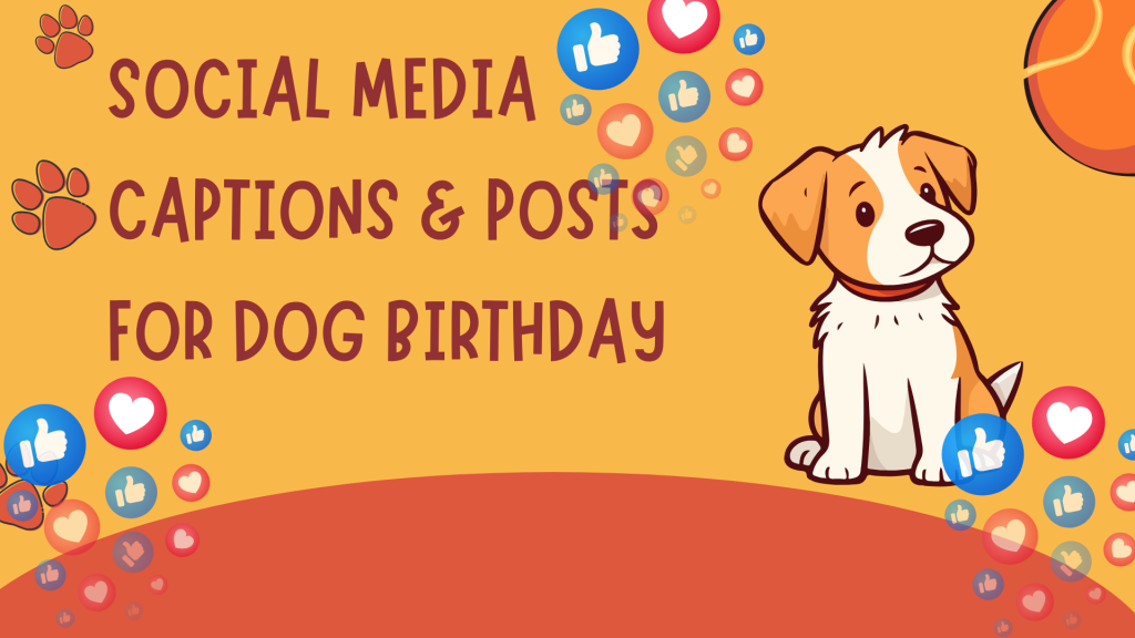Social Media Captions & Posts for Dog Birthday